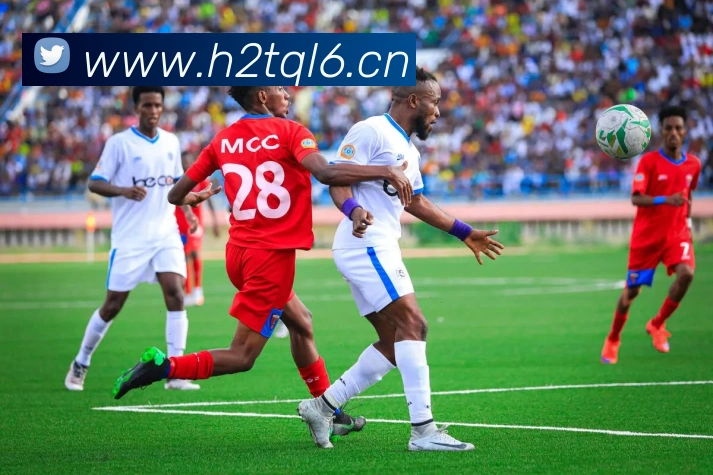 星空平台登录入口服务体系